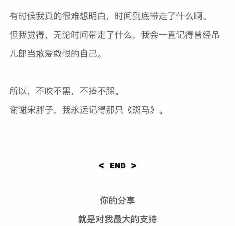 宋冬野：我只记得那只《斑马》