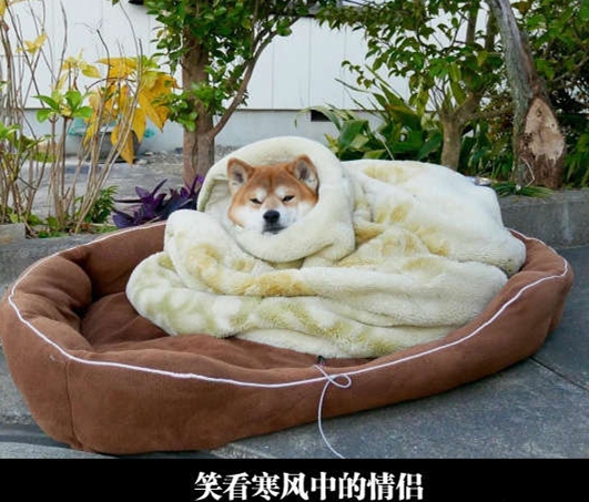冻死这些情侣