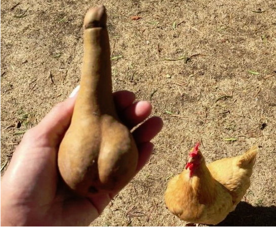 这是一个邪恶的梨子