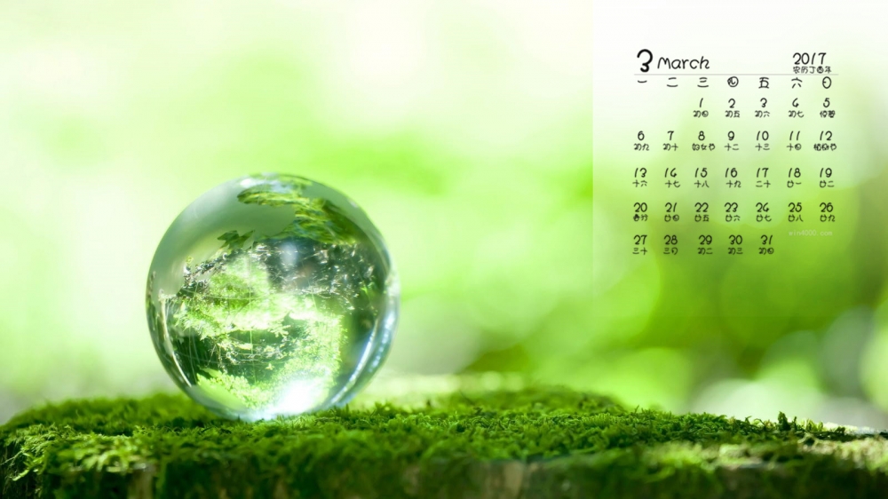 2017年3月植物摄影桌面日历壁纸