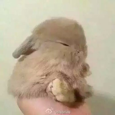 会瘦的 我就是先胖一会儿玩玩
