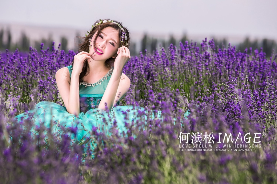婚纱照薰衣草图片 薰衣草 婚纱照
