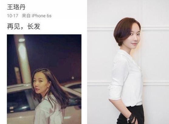王珞丹最新小短发发型  清新又养眼