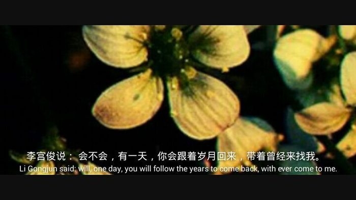 远方的梦想和诗