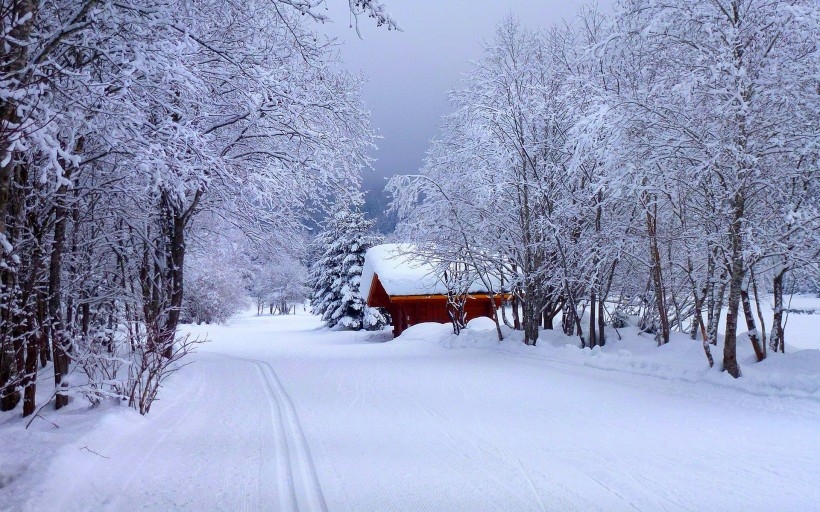 白茫茫的雪中小屋图片