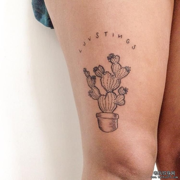 大腿小清新仙人掌盆栽字母纹身图案