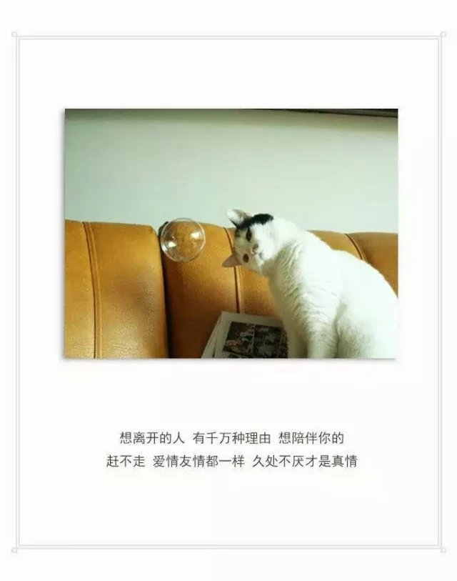 似是故人来。