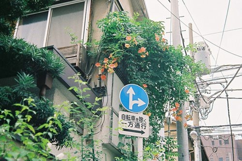 两个人的浪漫 清新唯美图片