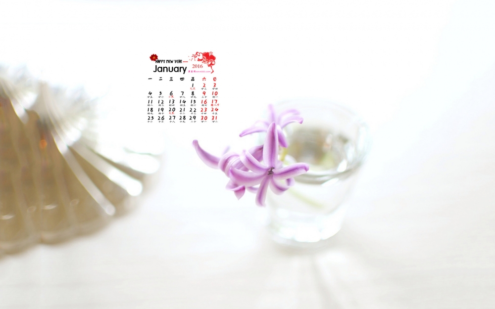 2016年1月日历精选小花桌面壁纸下载
