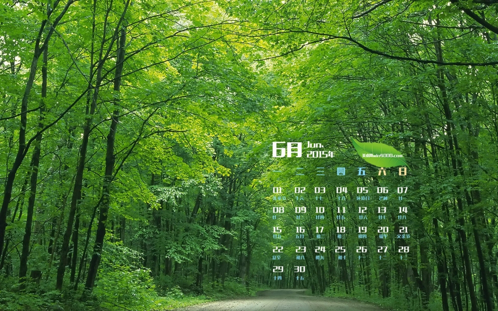 2015年6月日历壁纸精选绿色护眼的清新大自然森林美景下载
