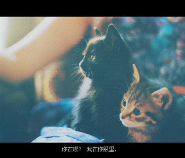 那时年少薄衫