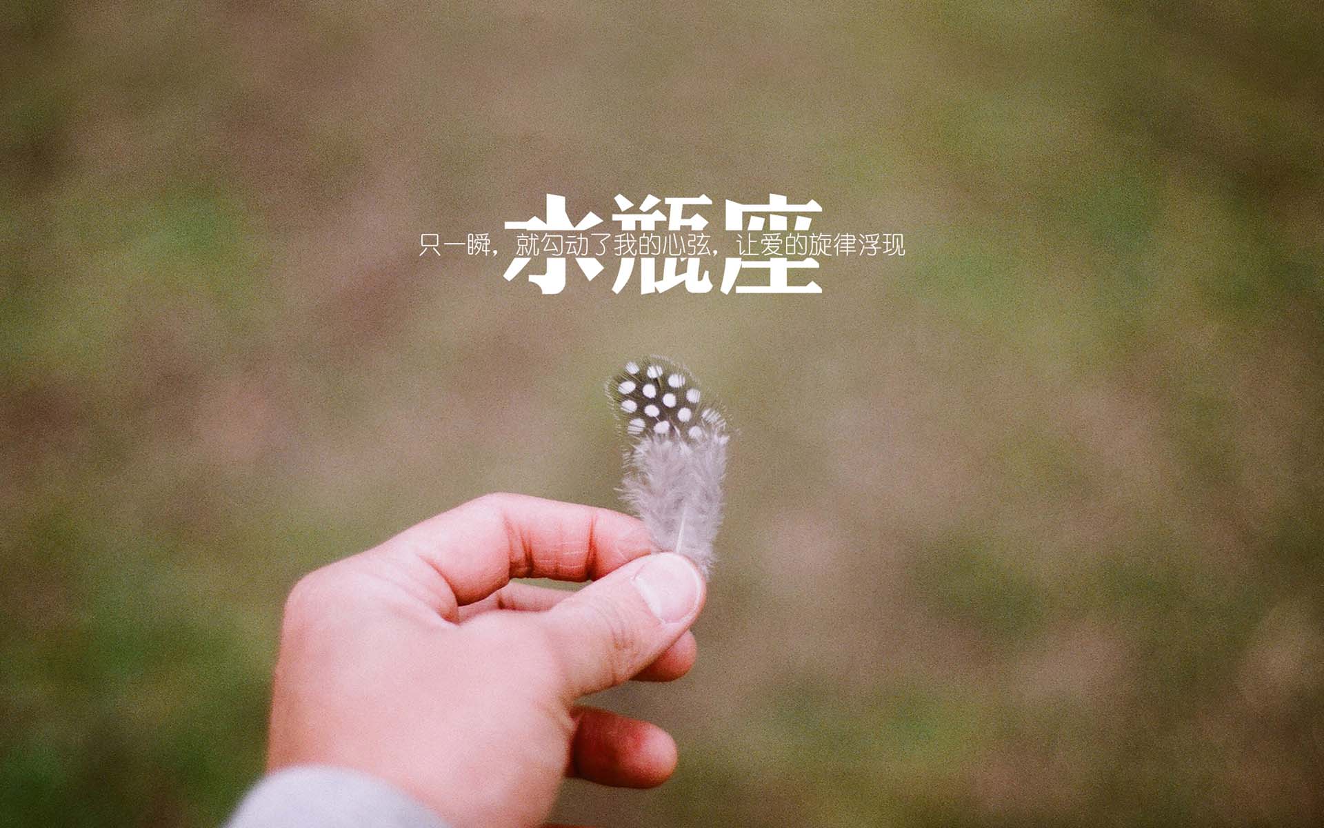 唯美清新桌面大壁纸绿色 台湾女孩唯美写真桌面壁纸图集