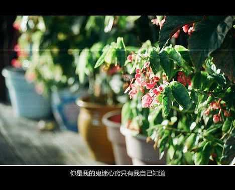 生命中最深的孤独是没有你的陪伴