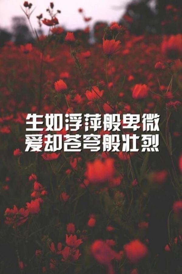 愿有人陪你，颠沛流离