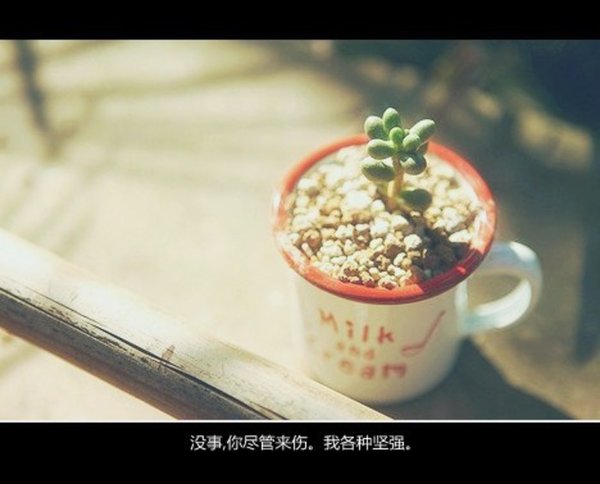 那时年少薄衫