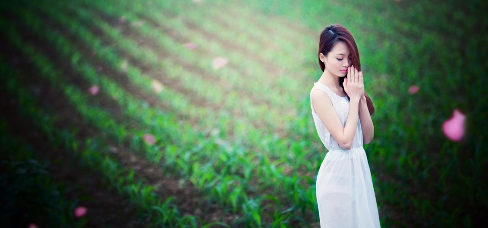 漂亮女孩,祈祷,白色裙子,花场,唯美桌面壁纸