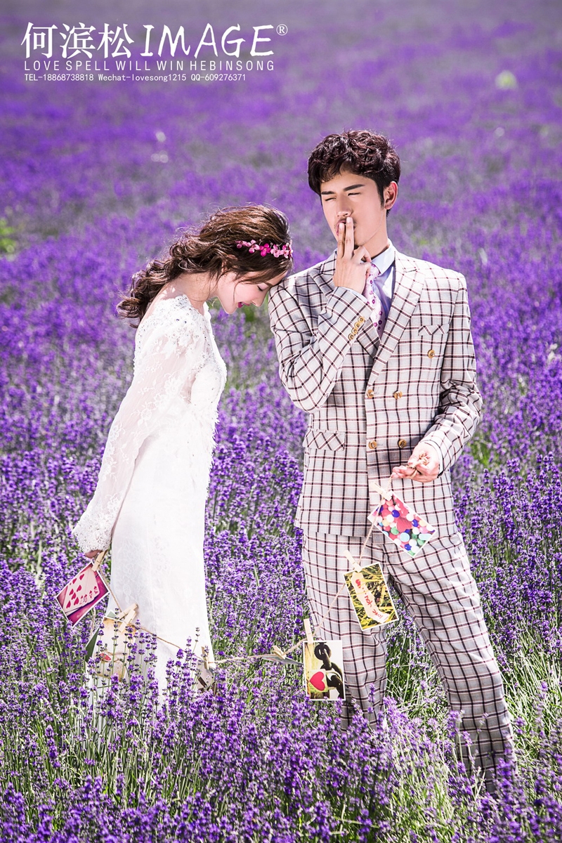 婚纱照薰衣草图片 薰衣草 婚纱照