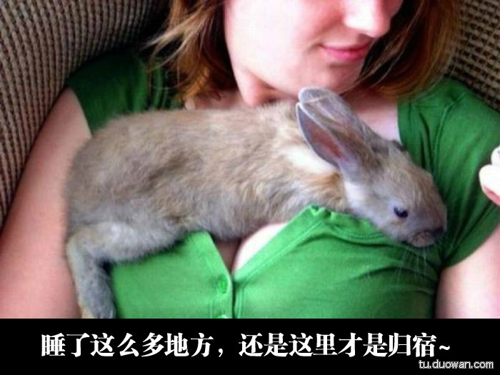 囧图第900发：樱桃小丸子再推真人版！你他娘的告诉我这是小学生？
