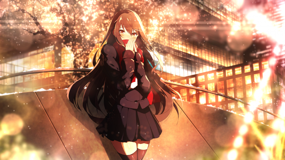 百褶裙2560x1440高清动漫图片壁纸4.4MB