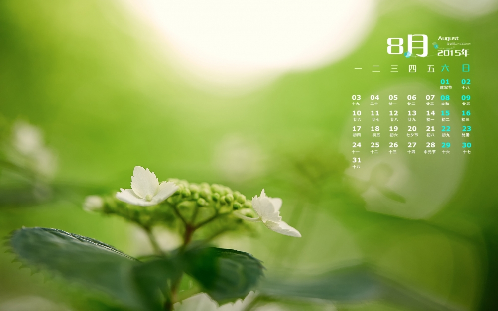 2015年8月日历精选护眼桌面壁纸下载