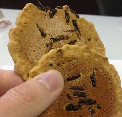 苍蝇饼干 敢吃吗