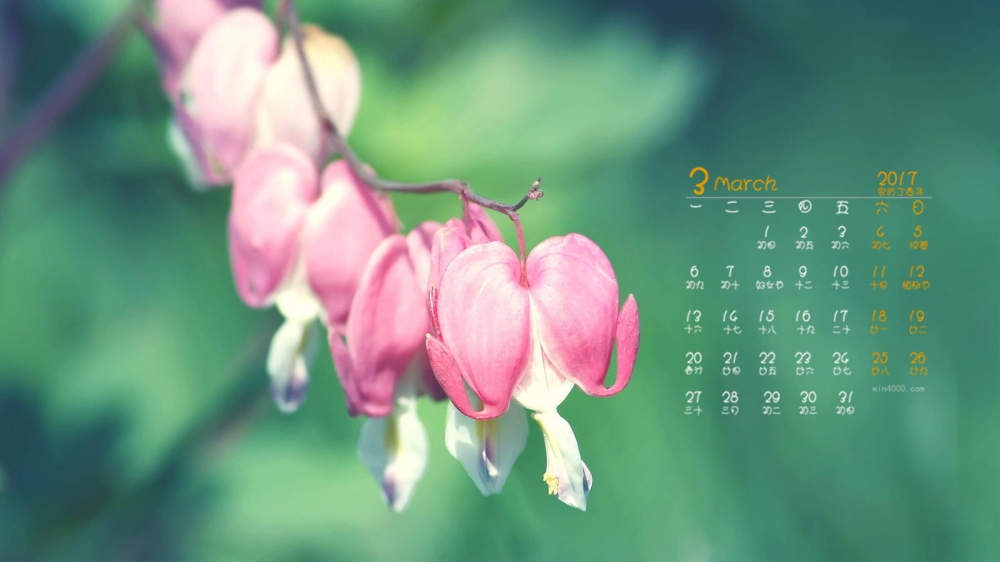 2017年3月植物摄影桌面日历壁纸