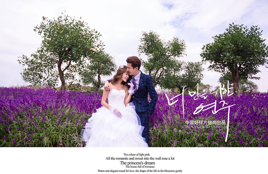 婚纱照薰衣草图片 薰衣草 婚纱照