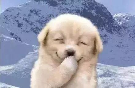 阿好：- 愿你们能活的像个神经病一样每天开开心心！