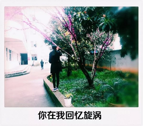我再未来等温暖的你 唯美图文