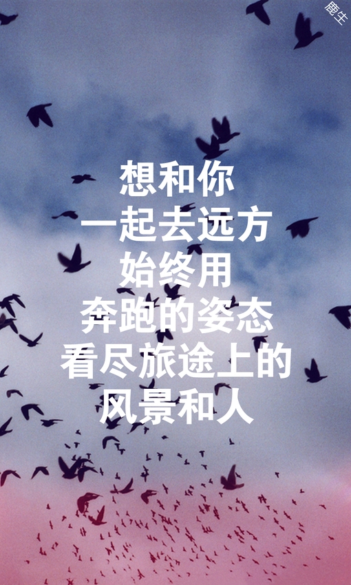 你再酷也是我的