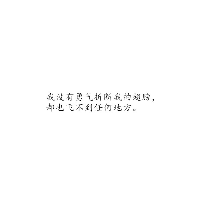 我还是相信星星会说话石头会开花穿过夏天的木栅栏和冬天的风雪之后你终会抵达
