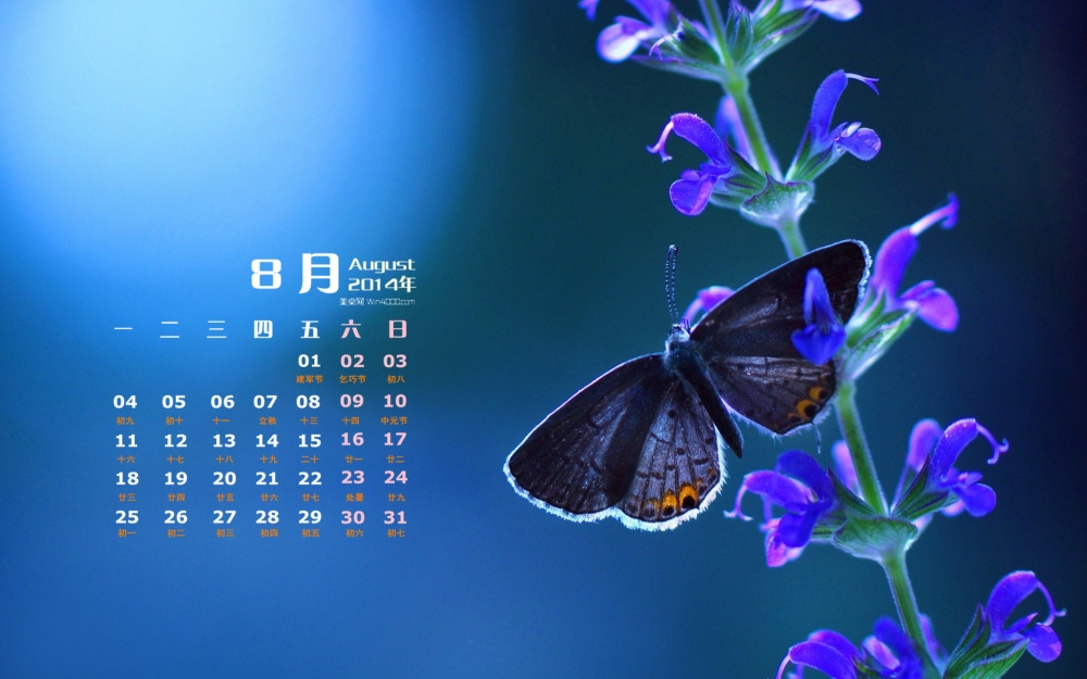 2014年8月日历彩色蝴蝶与花朵高清屏保电脑主题壁纸图片