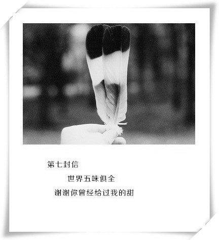 诗：电视剧是假的，没人会真正等你四五年