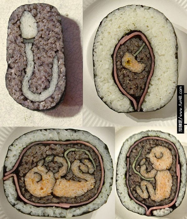宝宝的诞生寿司
