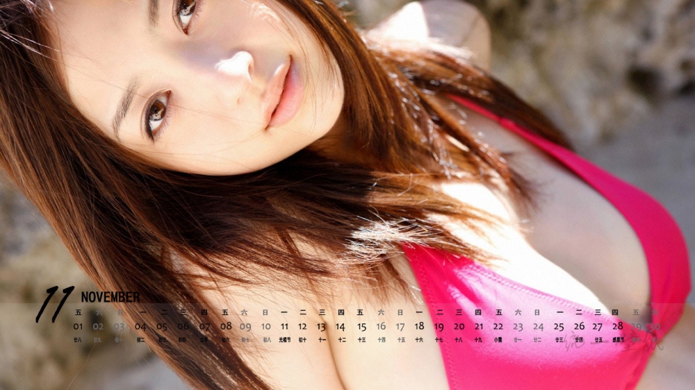 2013年11月性感美女日历桌面壁纸