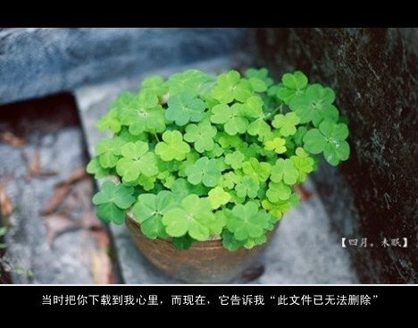 如果我变成回忆，退出了这场生命