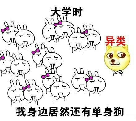 不随主流就是异类？我招sei惹sei了！