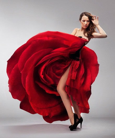 我的婚纱梦 Red