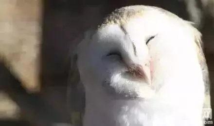 阿好：- 愿你们能活的像个神经病一样每天开开心心！