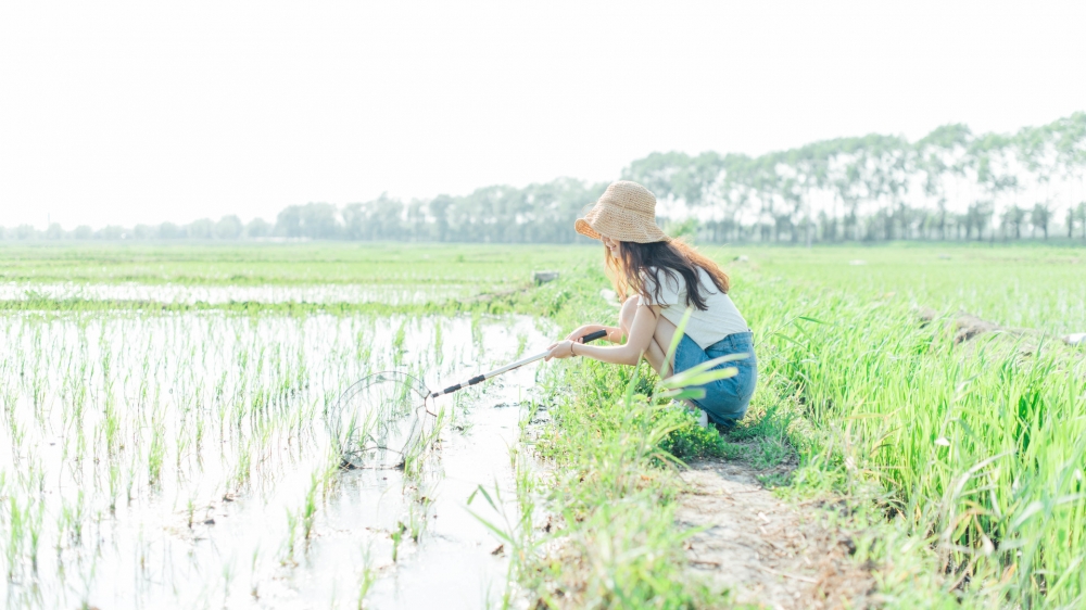 夏日美女系列：草帽捕虫网女孩写真壁纸