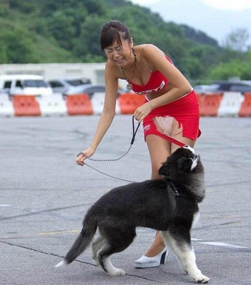 这是怎么勒