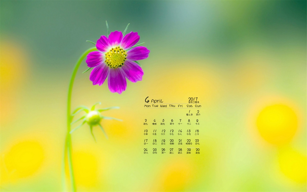 2017年4月唯美简约植物花卉日历壁纸