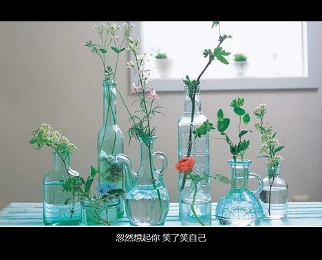 无法毫无愧疚的堕落 也不想尽全力努力这就是痛苦之一