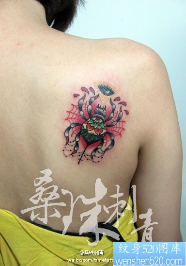 美女肩背漂亮时尚的彩色蜘蛛纹身图片