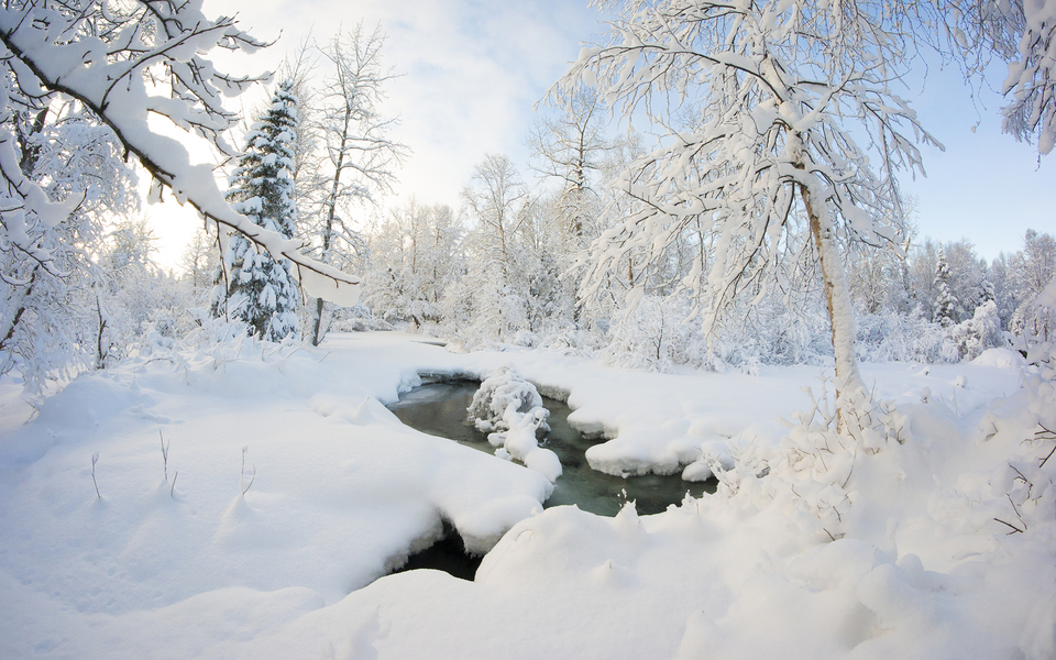 大雪中的自然景色壁纸