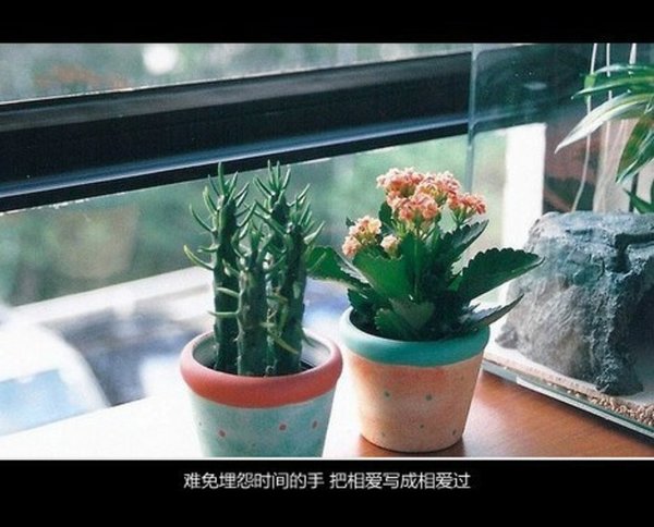 那时年少薄衫