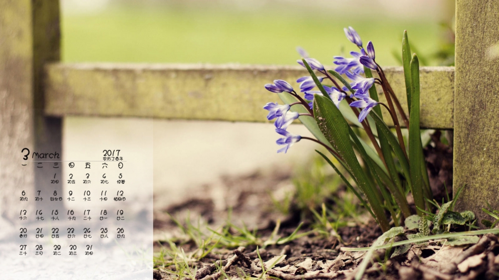 2017年3月植物摄影桌面日历壁纸