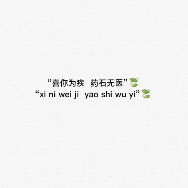 年三三の我一直在流浪 可从未见过海洋