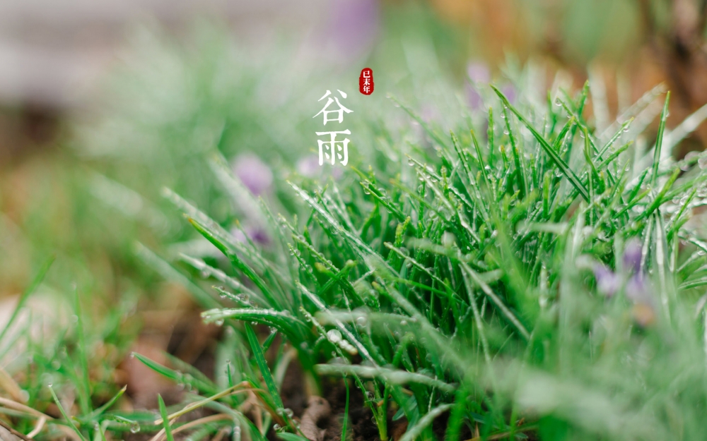 二十四节气谷雨唯美图片桌面壁纸