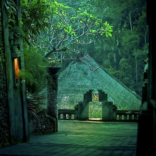 青春如此短暂   微信背景图片